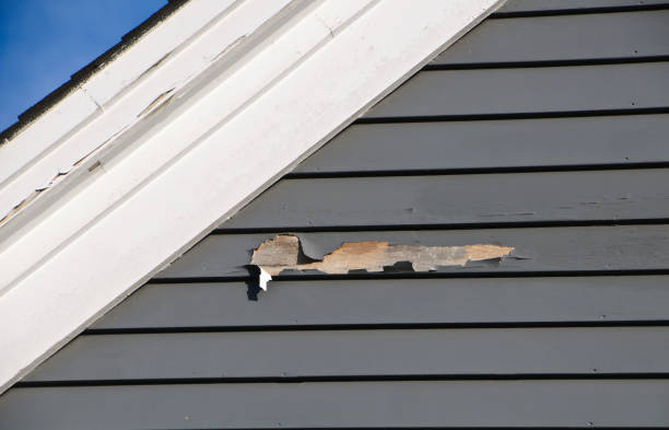 Best Brick Veneer Siding  in Thorsby, AL