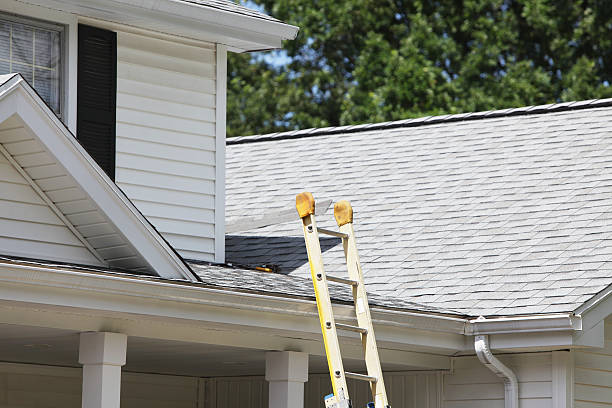 Best Stone Veneer Siding  in Thorsby, AL