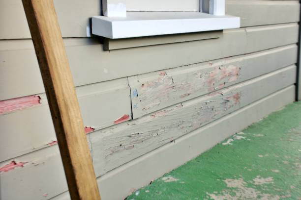 Best Storm Damage Siding Repair  in Thorsby, AL